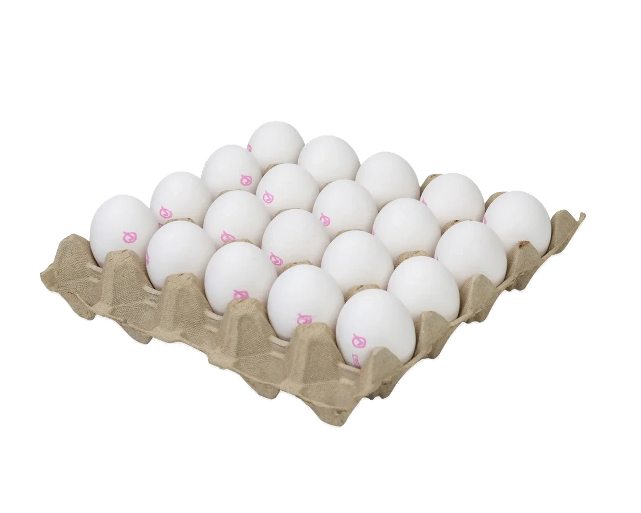 Ägg frigående ute M/L lösvikt
