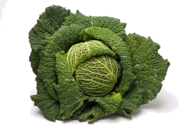 Savoykål 1kg