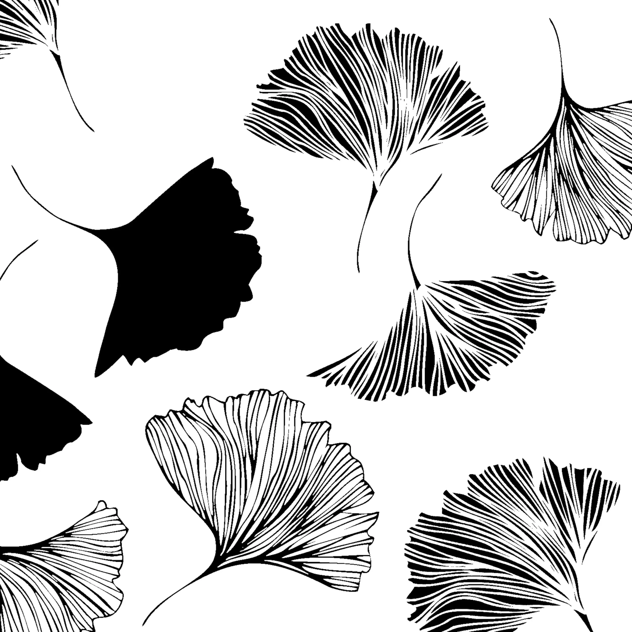 Tissueserv Ginko