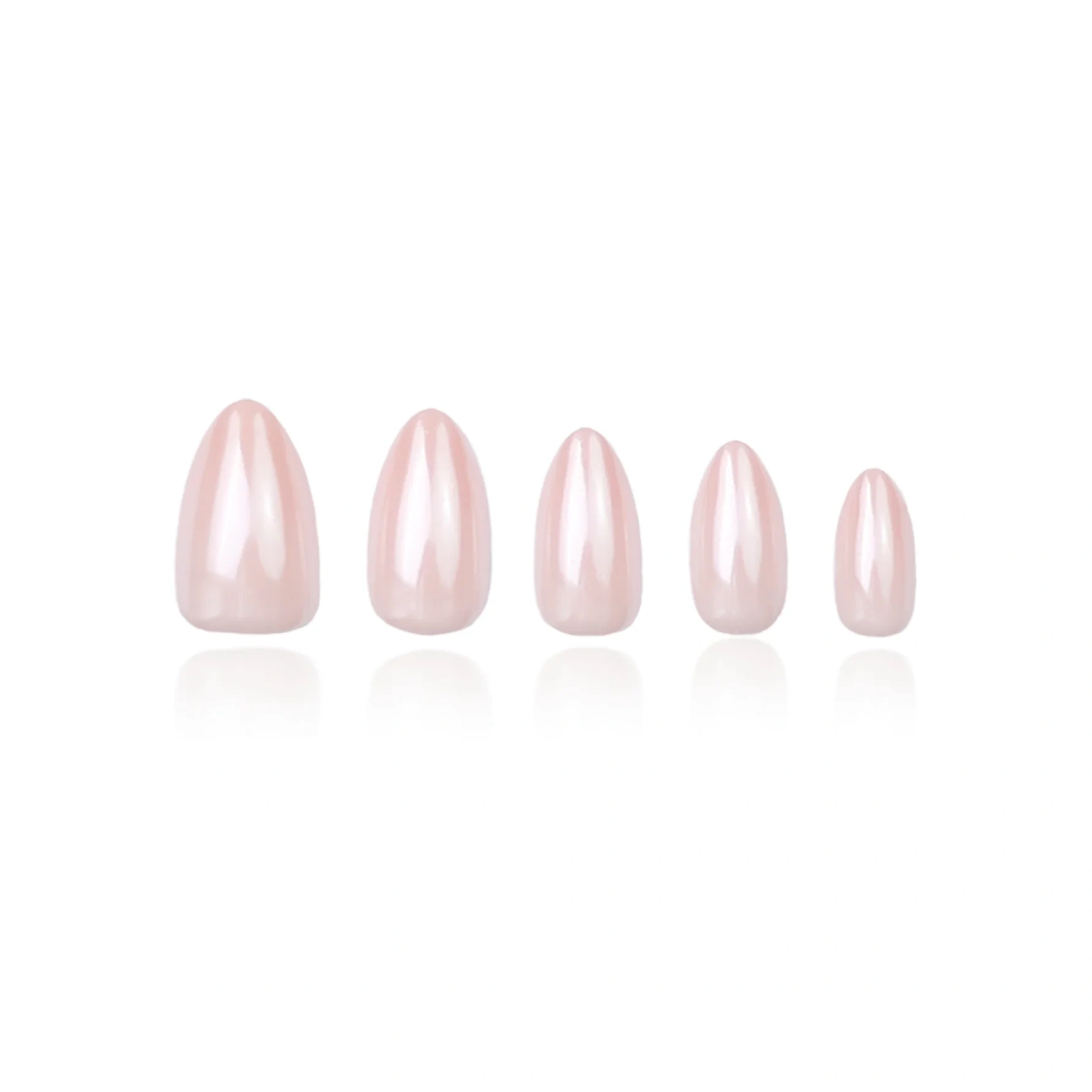 DUFFBEAUTY Glazed Donut, Medium Almond Glazed Donut, Medium Almond