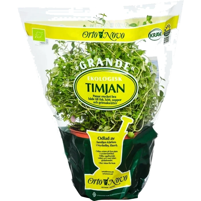 Timjan Grande Eko Klass 1