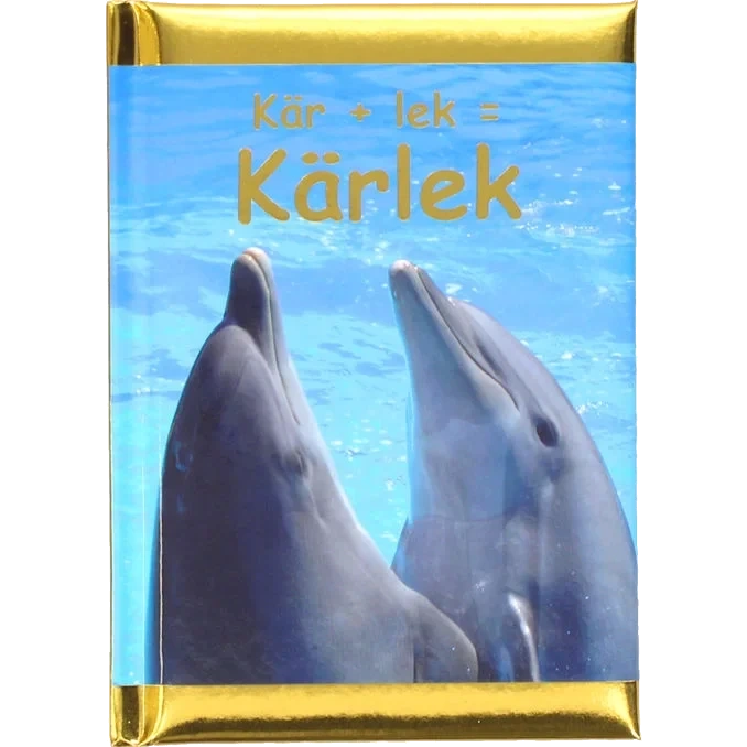 Bok: Kär+lek = Kärlek
