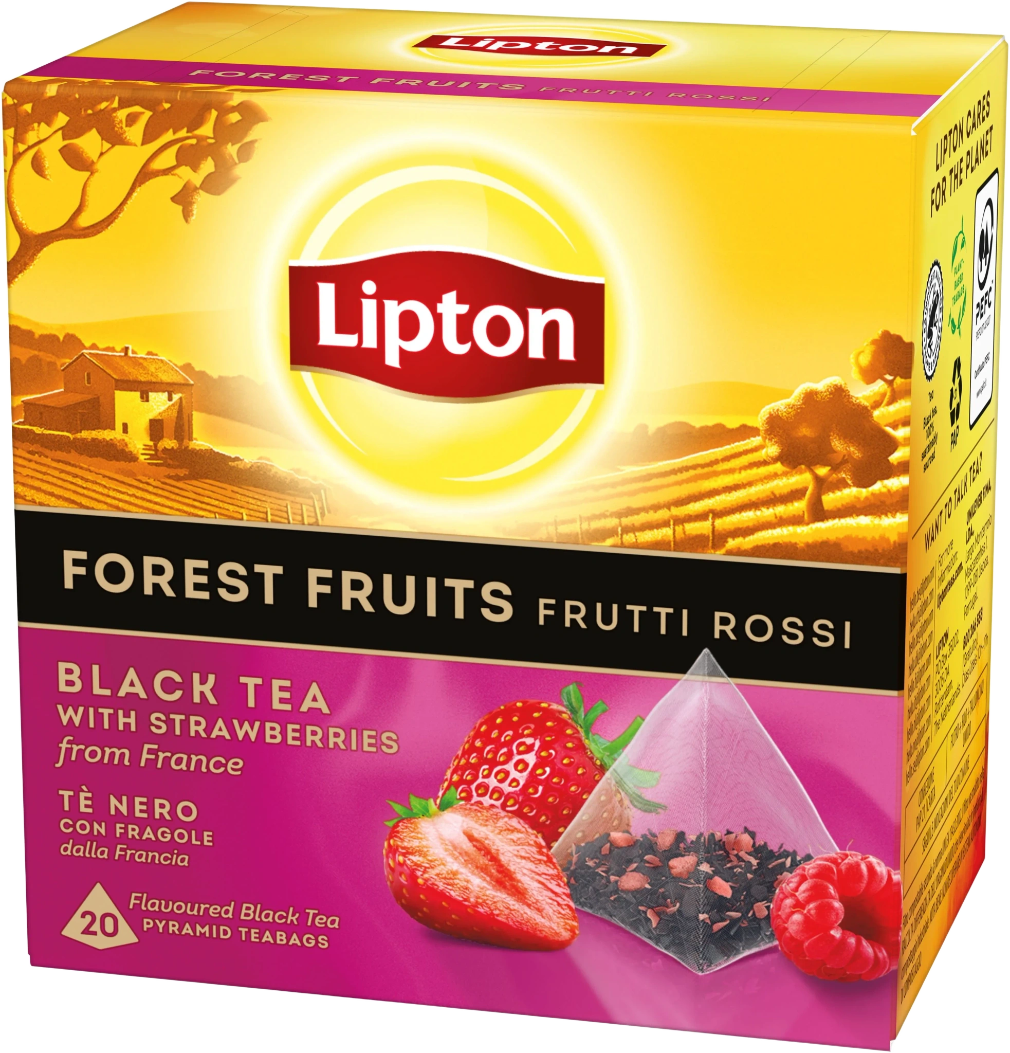 Svart Pyramidte Forest Fruit