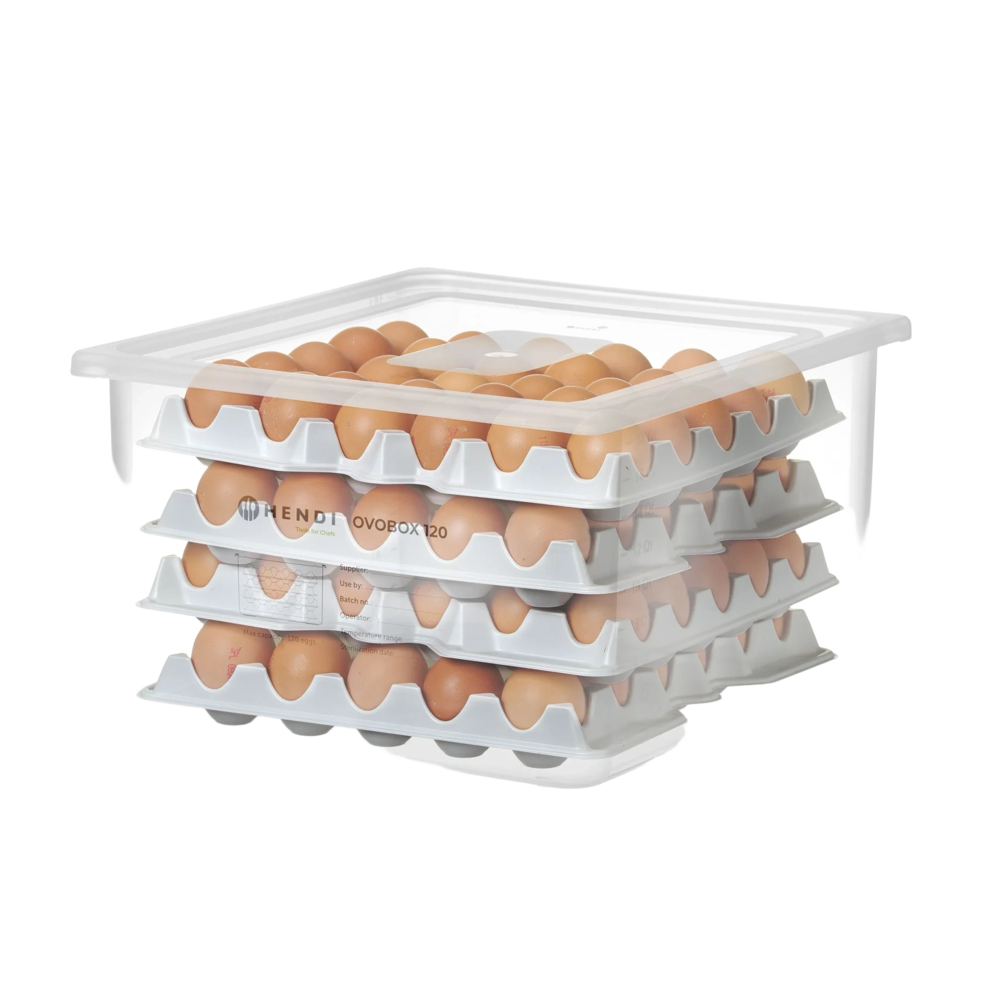 Äggbehållare OVOBOX 120