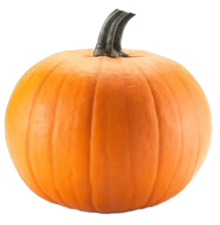 Halloween gresskar ca 6kg pr stk