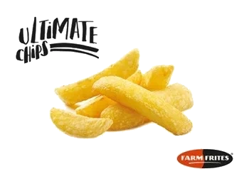 Ultimate Chip