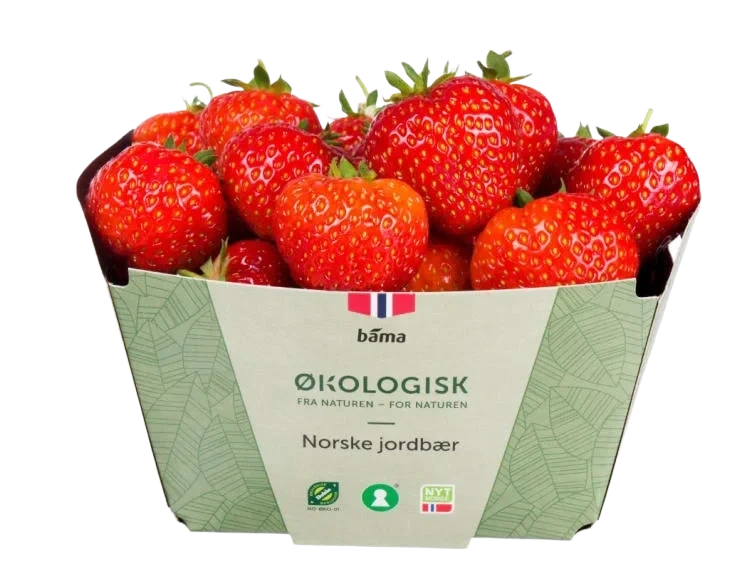 Jordbær 350g Økologisk