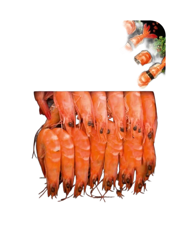 Kongereker Spanske Kokte 150g Jacobs Utv.