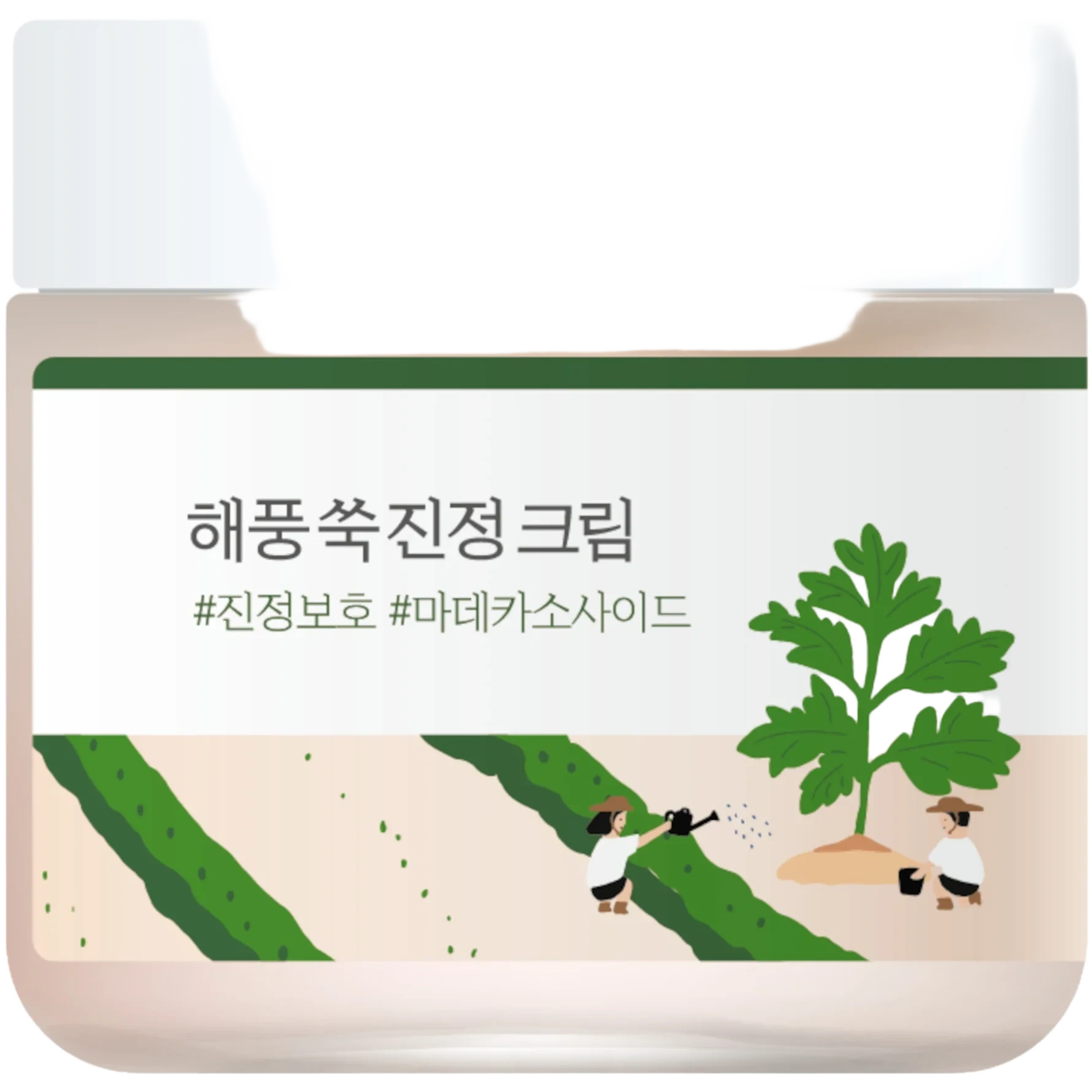 Round Lab Mugwort Calming Cream