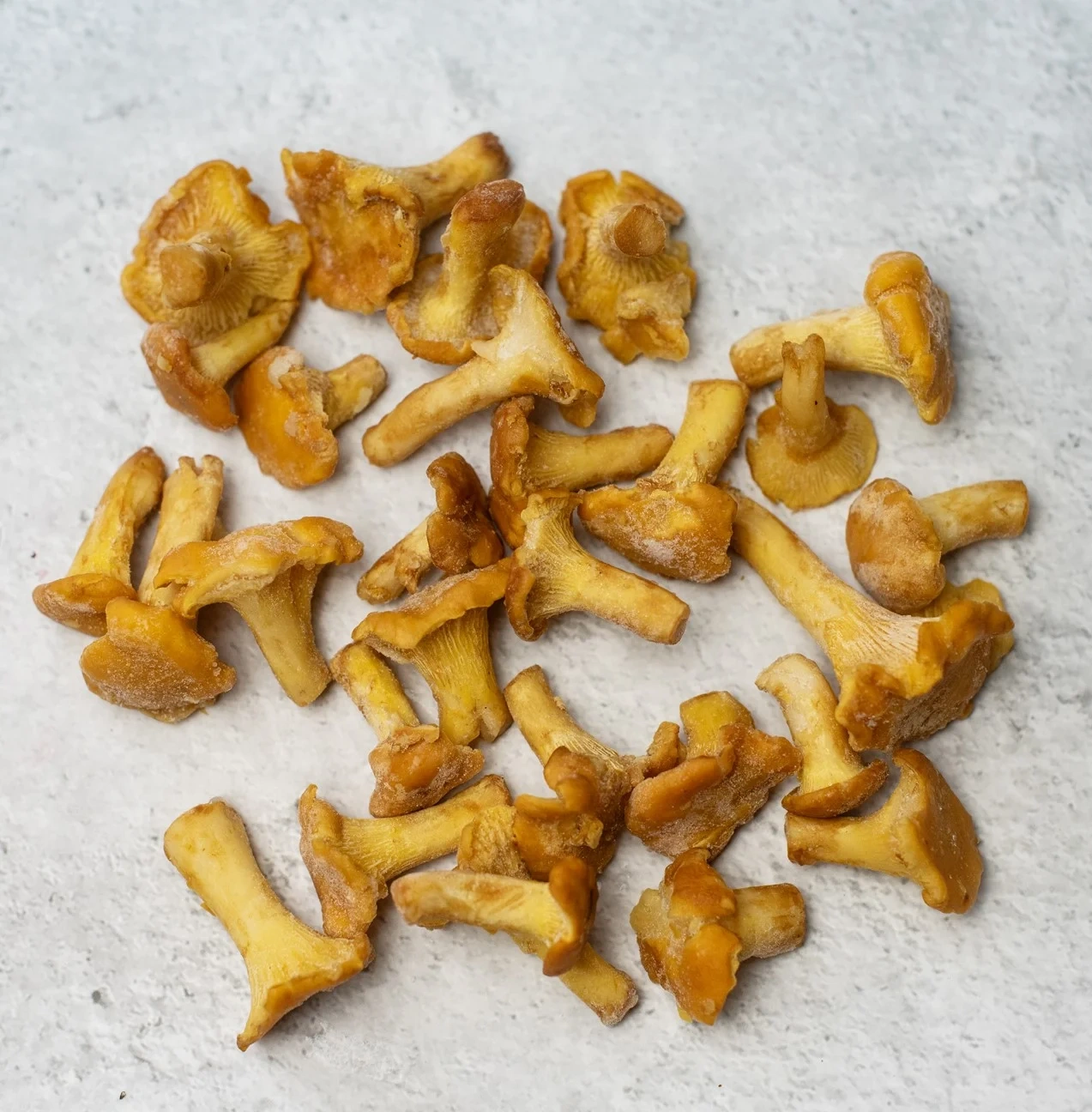 Kantareller