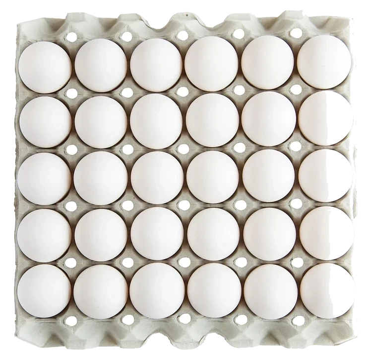 Egg m fra frittgående høner  30stk  1,74kg