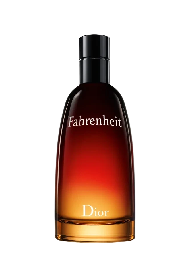 DIOR Fahrenheit Eau de Toilette 100 ml