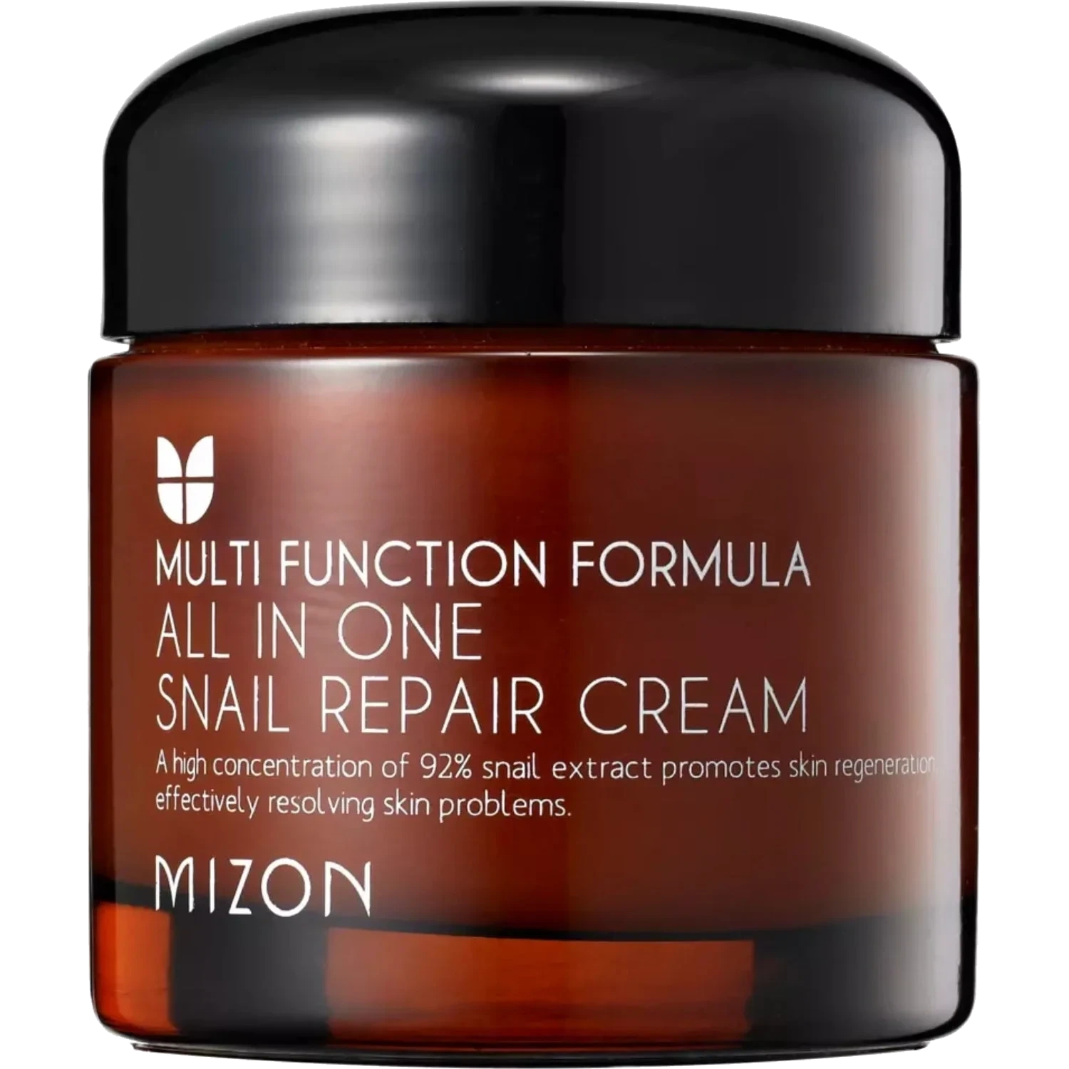 Mizon All In One Snail Repair Cream