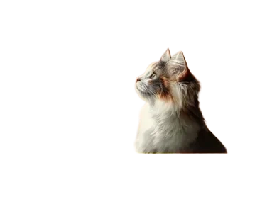 Dogman Kattmat meny mix sås