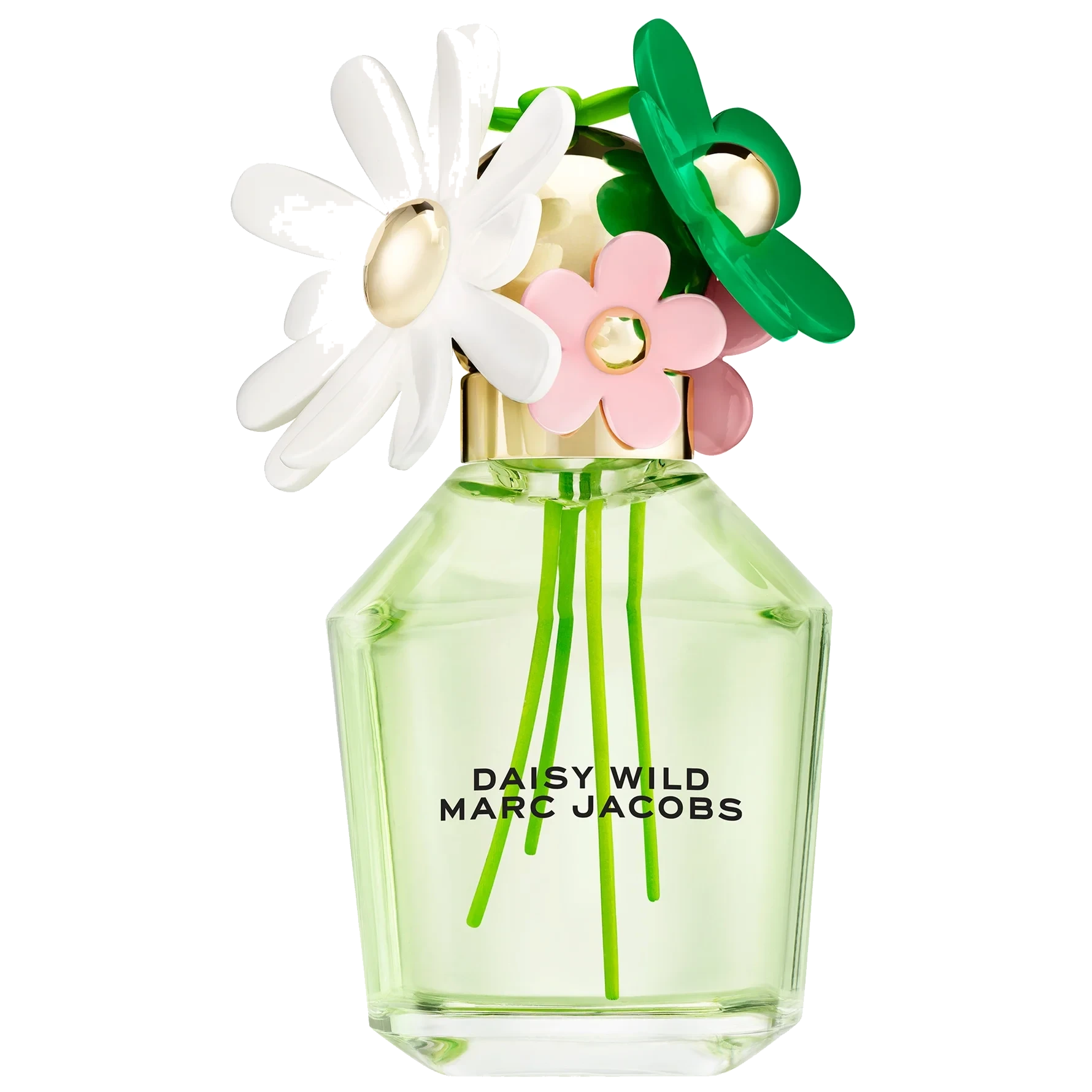 Marc Jacobs Daisy Wild Eau de Parfum 100 ml
