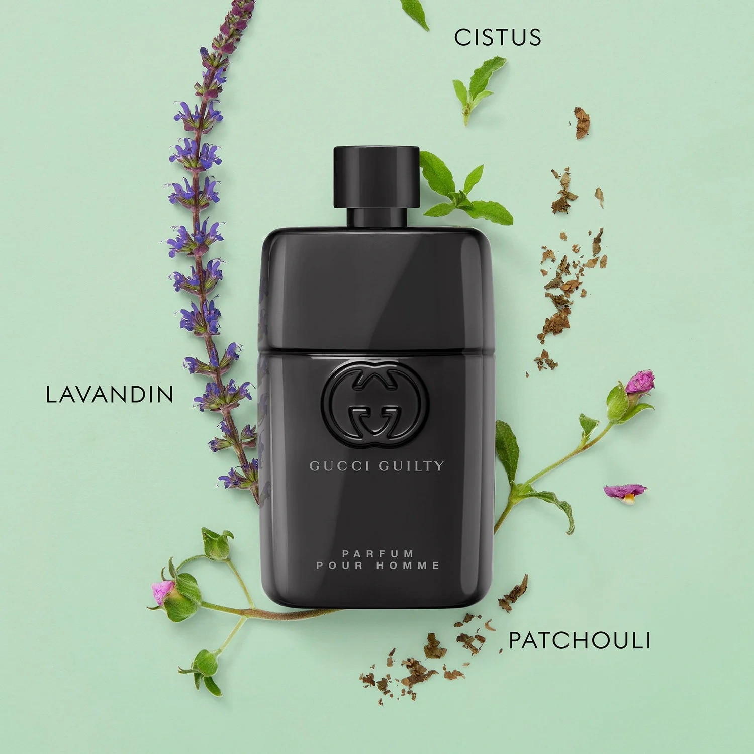 Gucci Guilty Pour Homme
