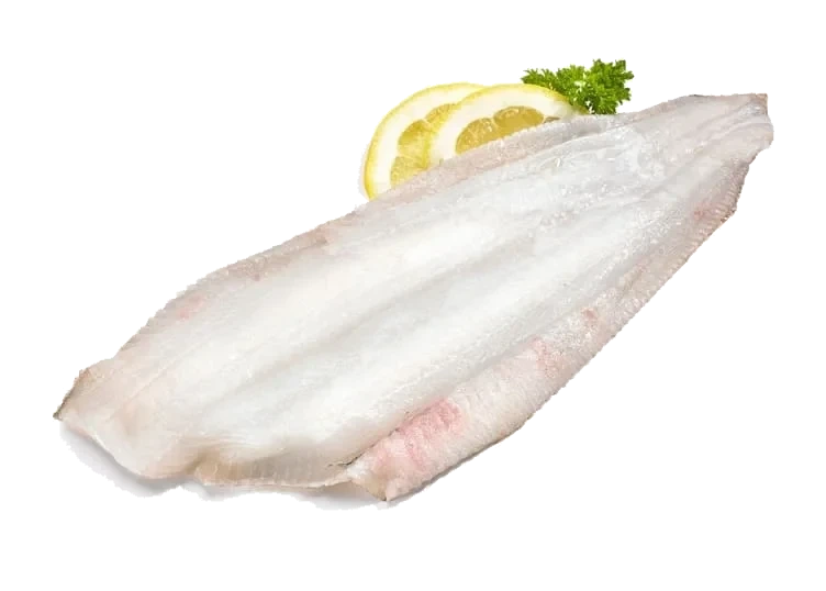 Smørflyndre Filet Vill pr Kg