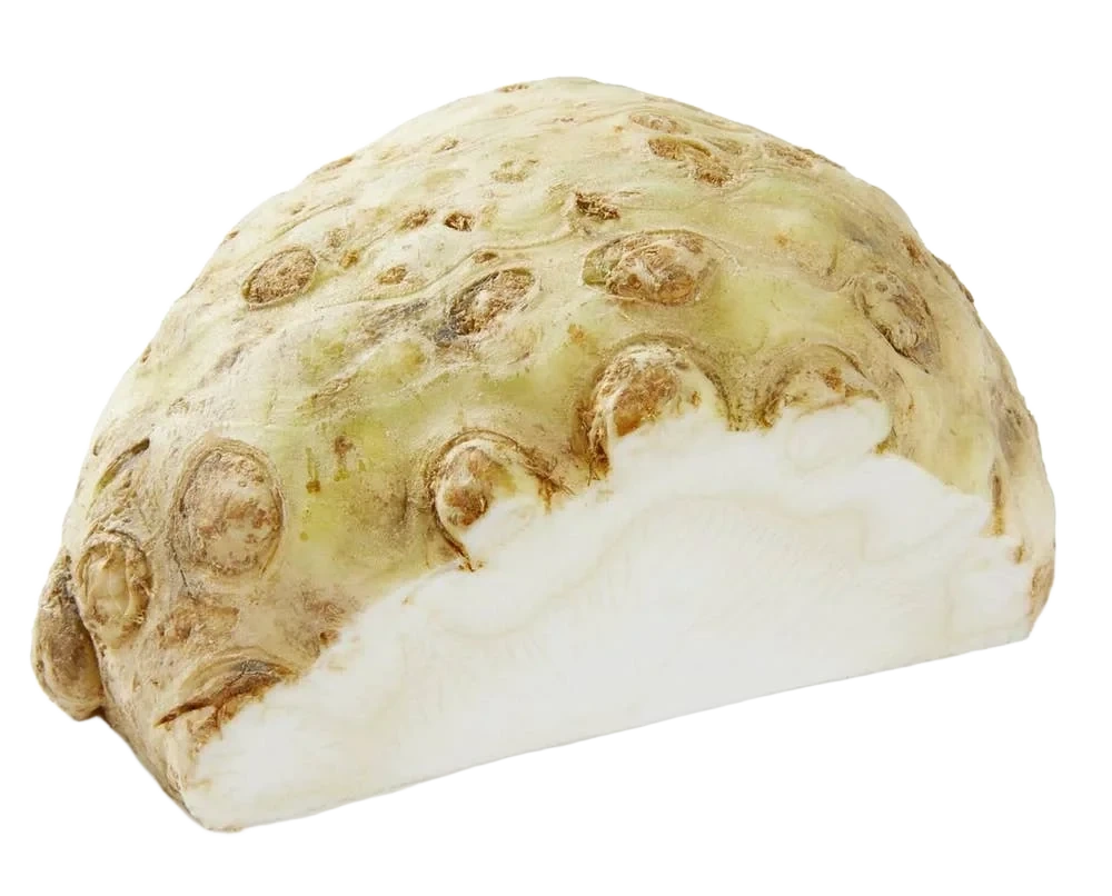 Sellerirot