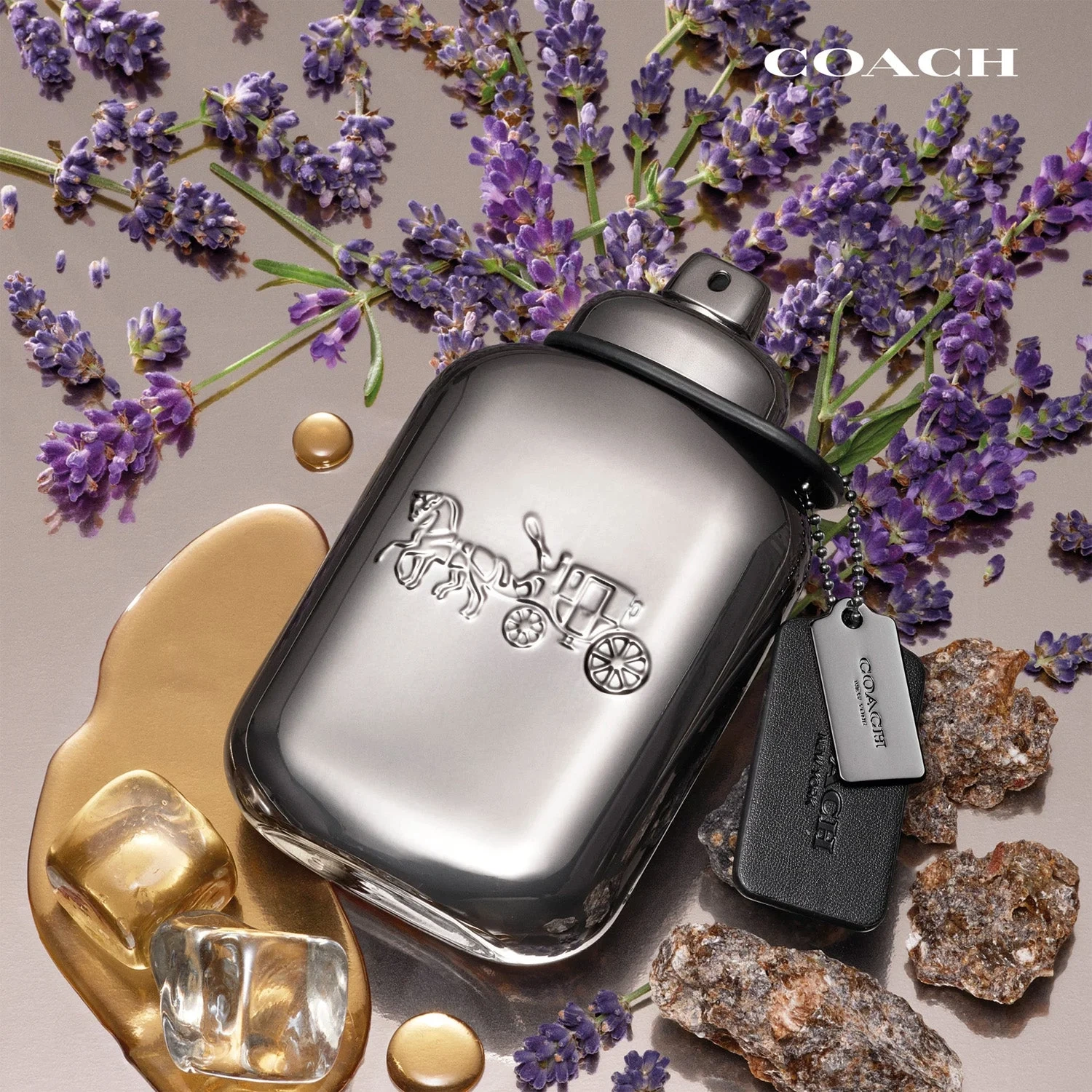 Coach Pure Platinum Parfum 60 ml