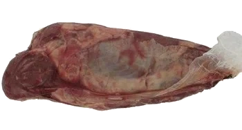 Chuck Tender nötbog