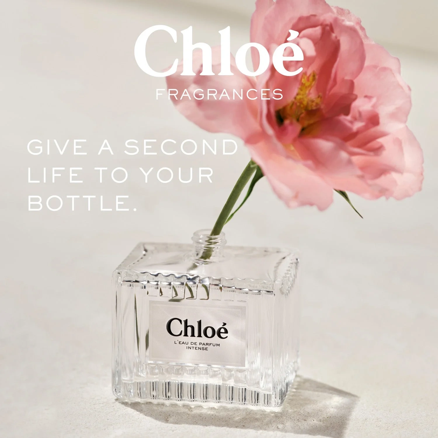 Chloé Intense