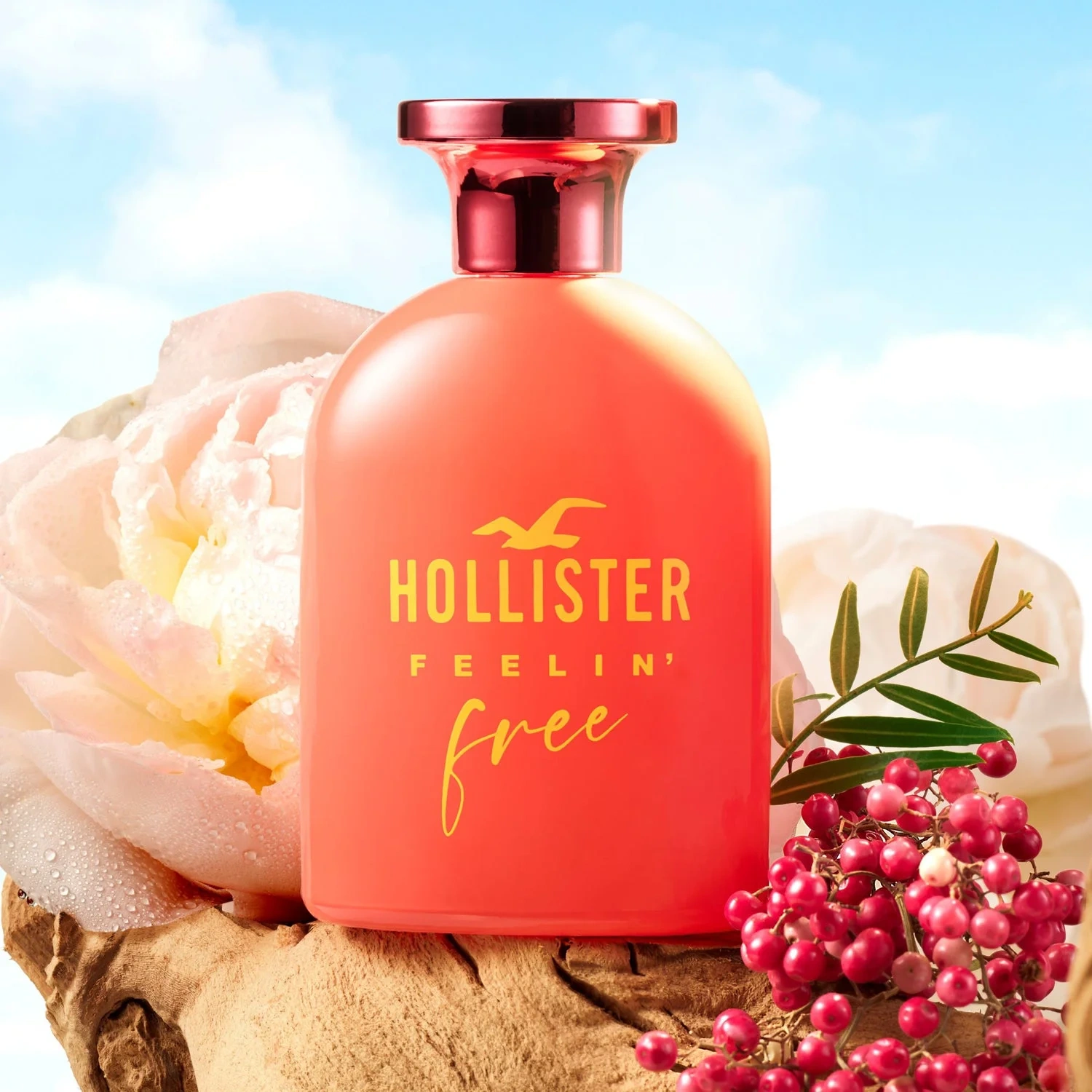 Hollister Feelin' Free for Her