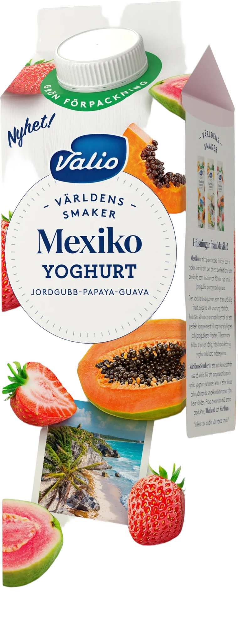 Yoghurt Mexiko