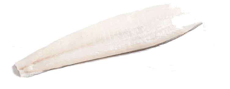 Kveite Filet Sterling Oppdrett 1-3kg
