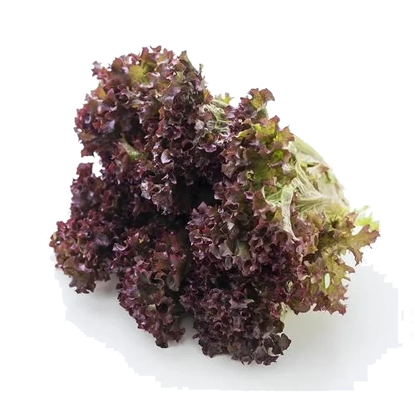Rød Lollo Flowpack Stk