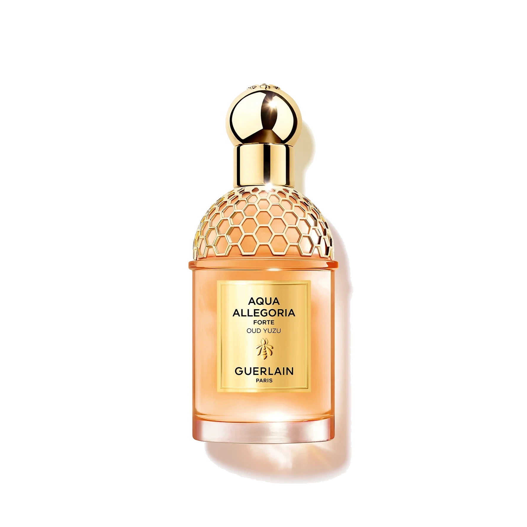 GUERLAIN Aqua Allegoria Forte Oud Yuzu Eau de Parfum 75 ml
