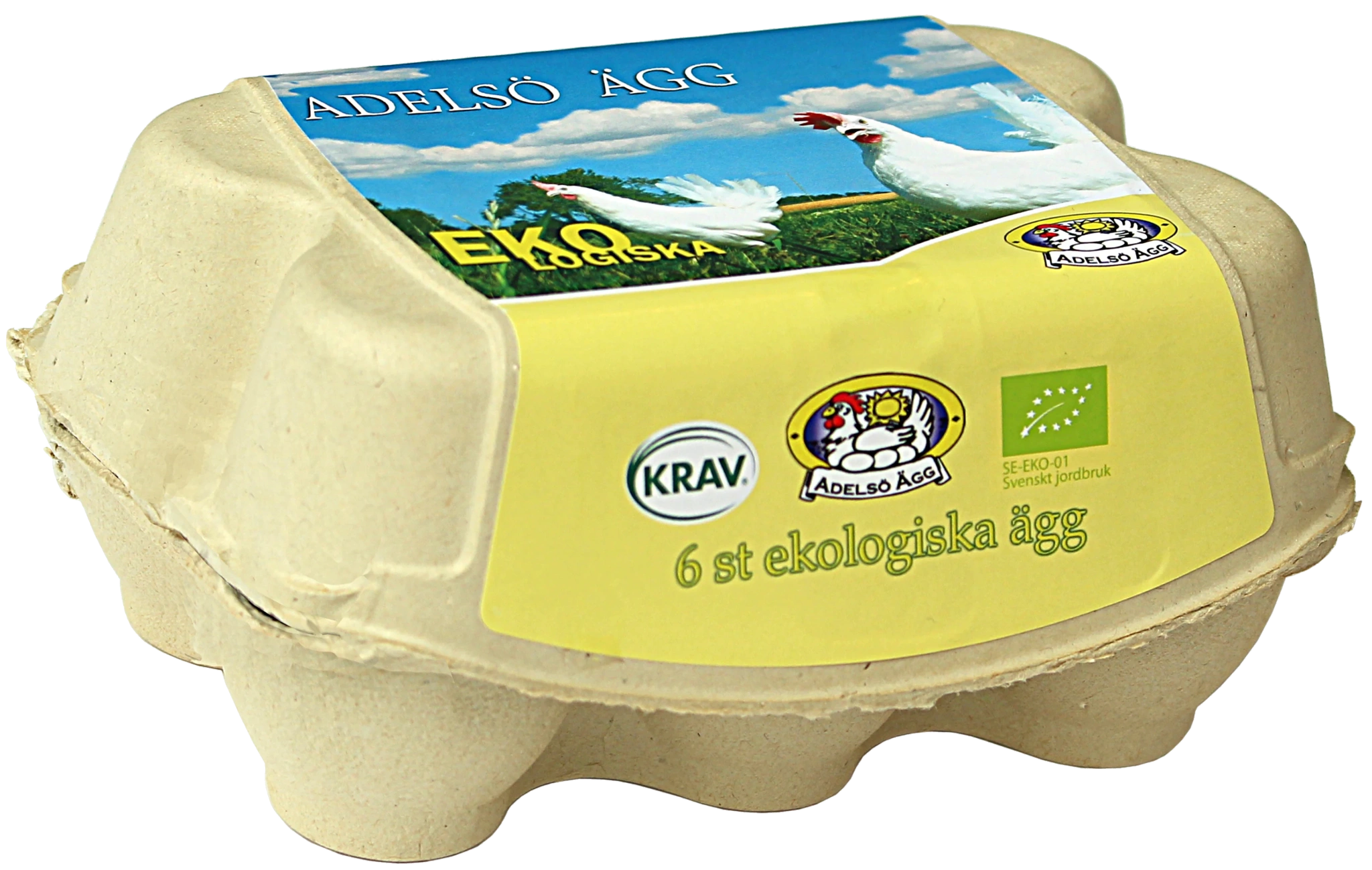 6-pack Eko M/L