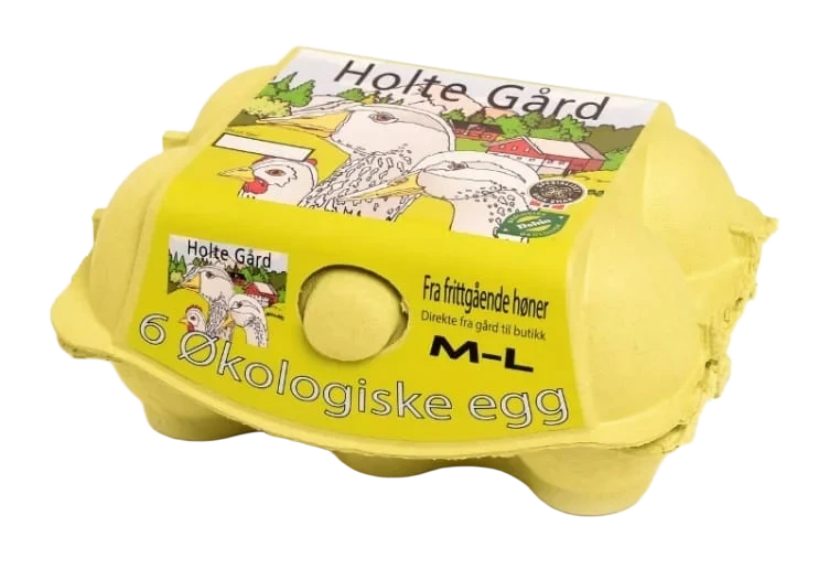 Egg Økologisk 6stk 380g Holte