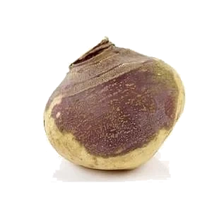 Kålrot   kg
