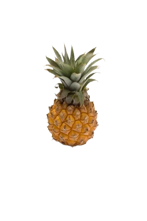 Ananas Mini stykk
