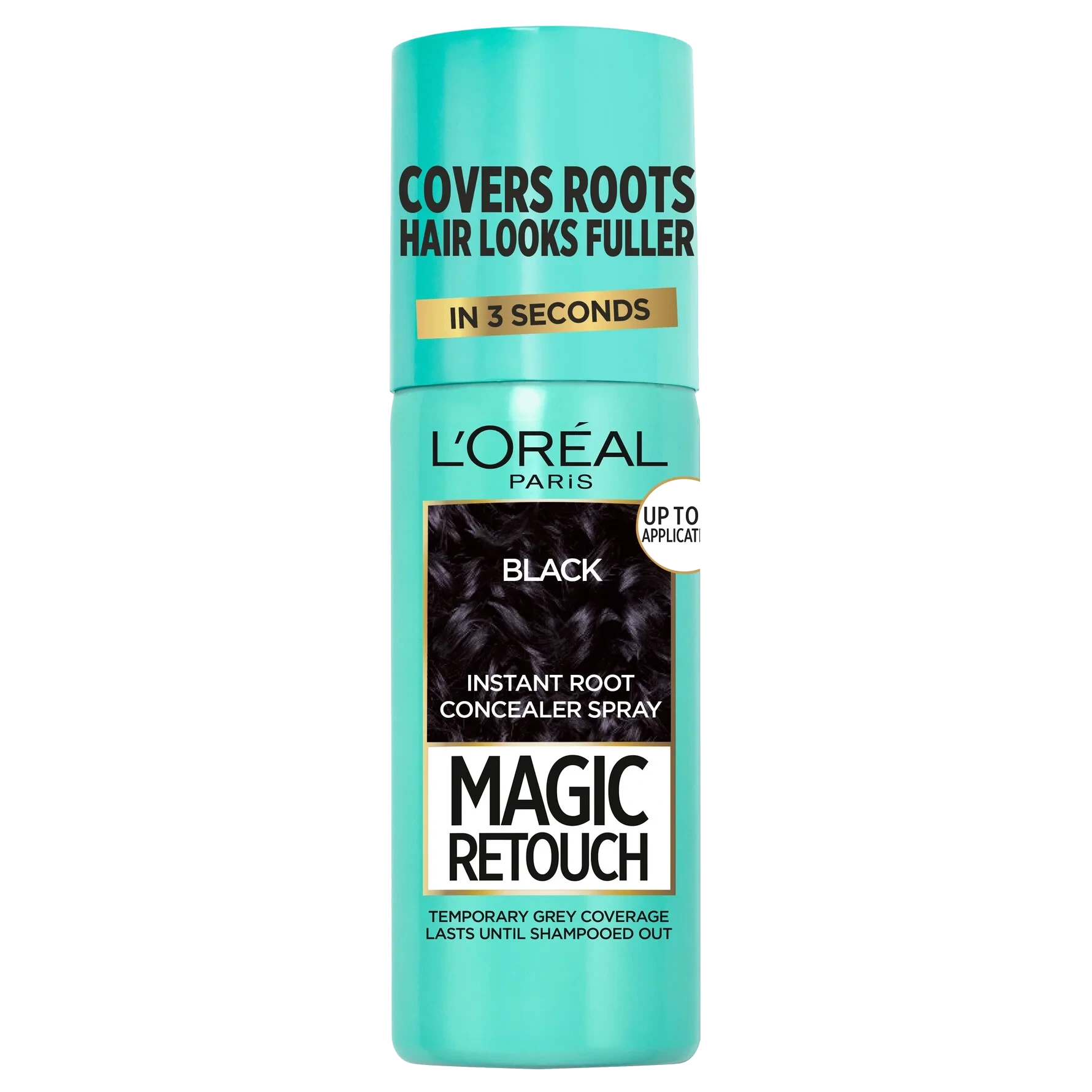 L'Oréal Paris Magic Retouch Direct Color Black