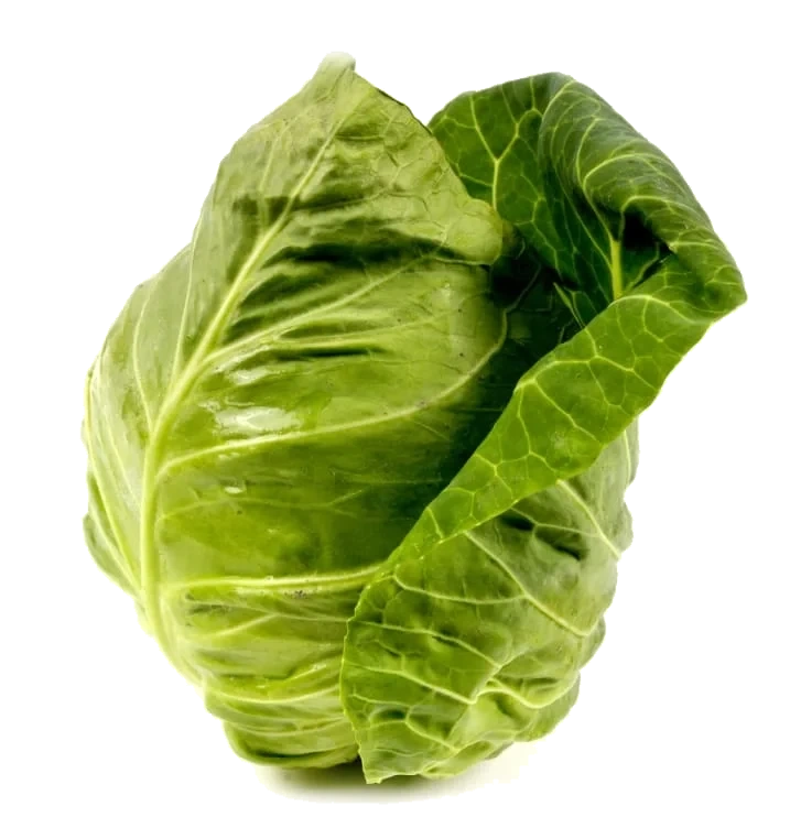 Sommerkål Nykål