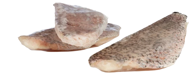 Barramundi filet med skinn 8-10 oz 10kg