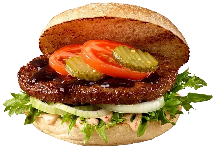 Hamburger Basic 70x100g