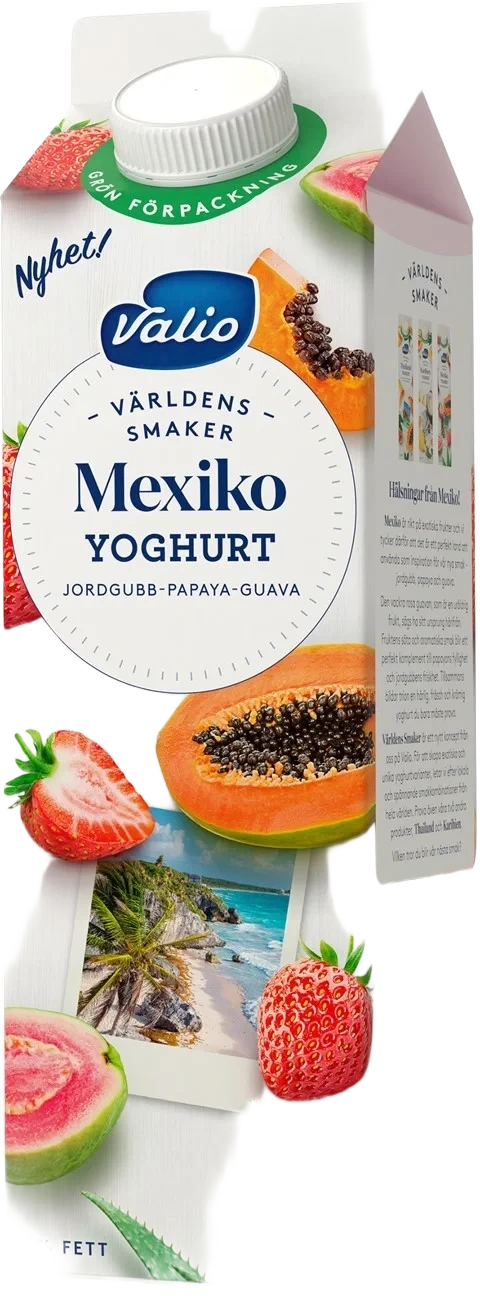 Yoghurt Mexiko