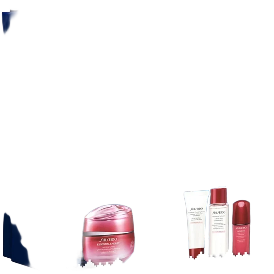 Shiseido Essential Energy Holiday Kit