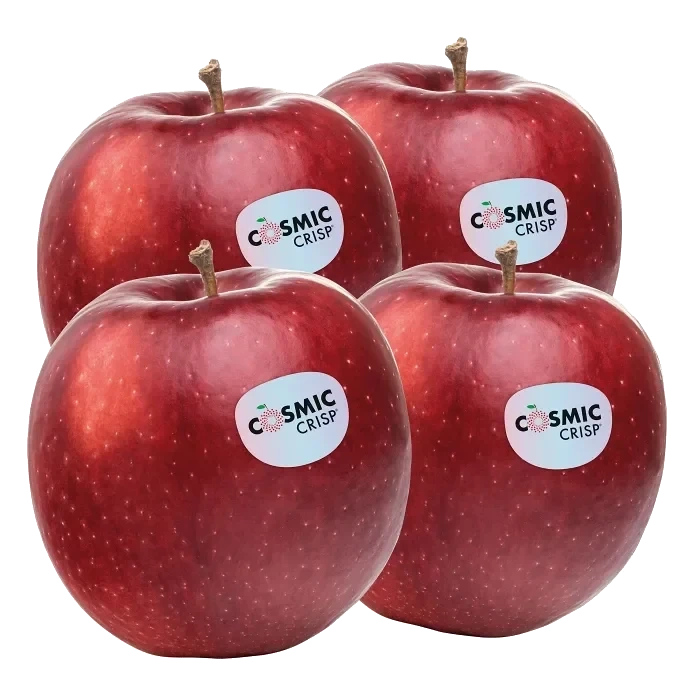 Äpple Cosmic crisp 4-p Klass 1