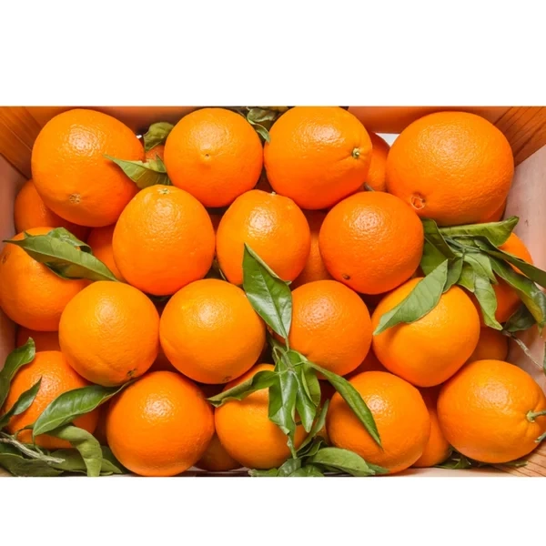 Appelsiner Hele Kasse 16kg
