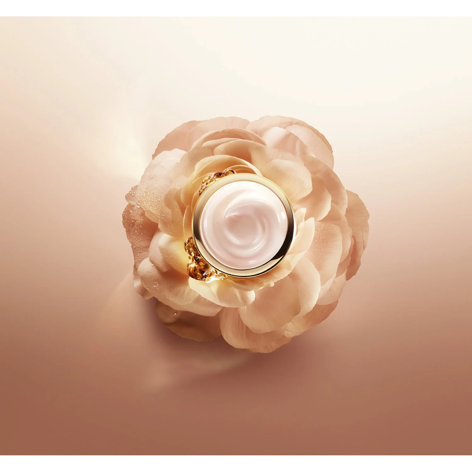 Lancôme Absolue Light Cream