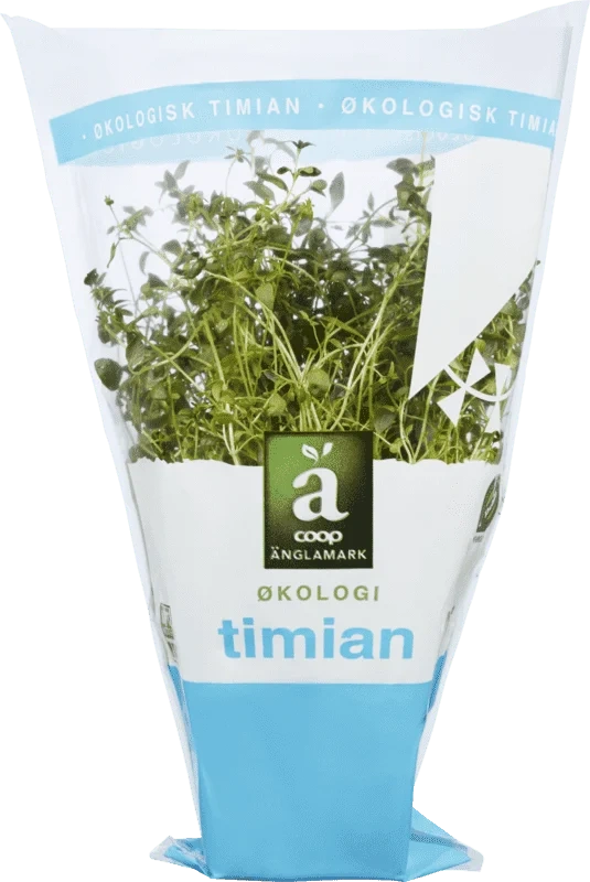 Änglamark Krydderurt 8cm Timian