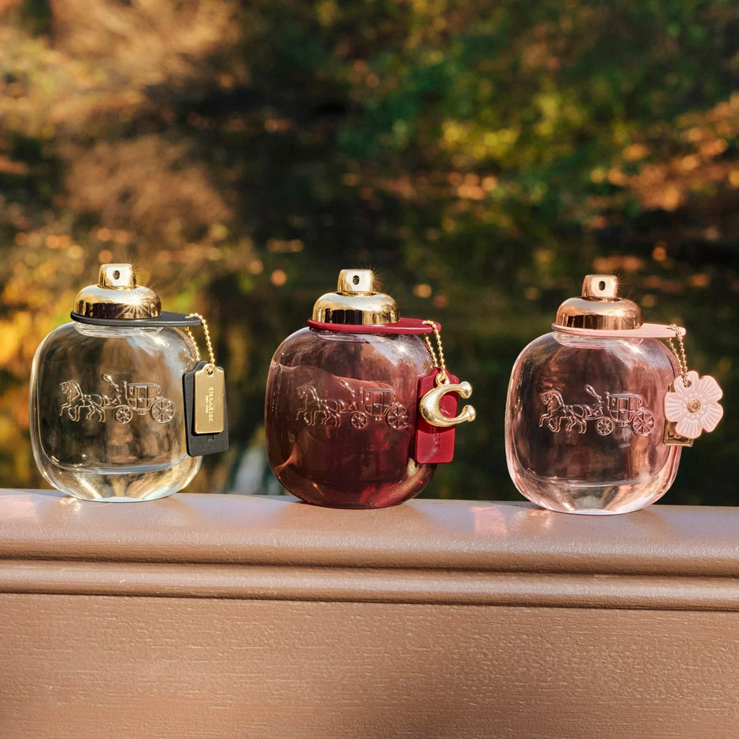 Coach Eau De Parfum 30 ml