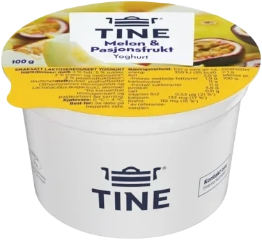 Yoghurt melon 100g