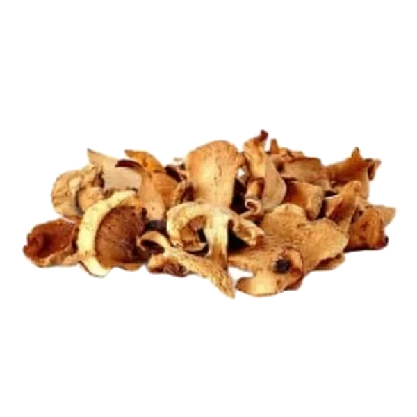 Steinsopp Tørket 500g