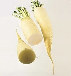 Rettich      kg