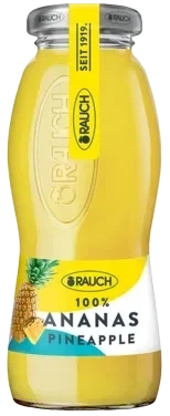 Ananas Juice 0,2l Flaske Rauch