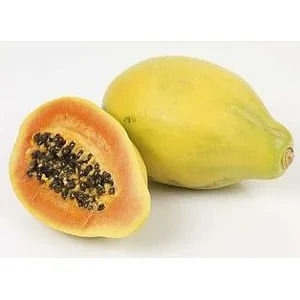Papaya gigant formosa   stk